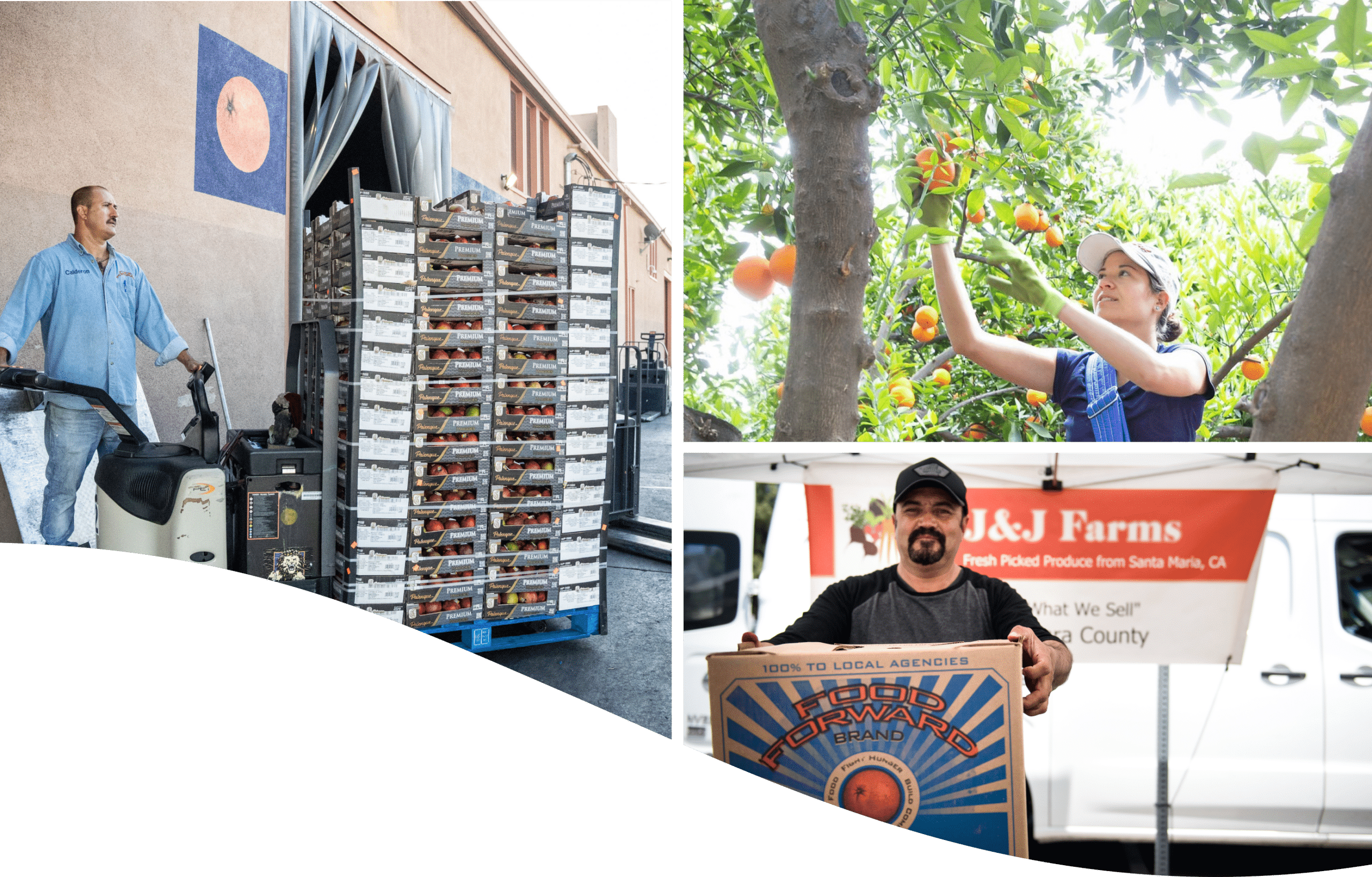 Images of Santos on a forklift, a woman picking oranges, and a farmers market vendor holding a box out